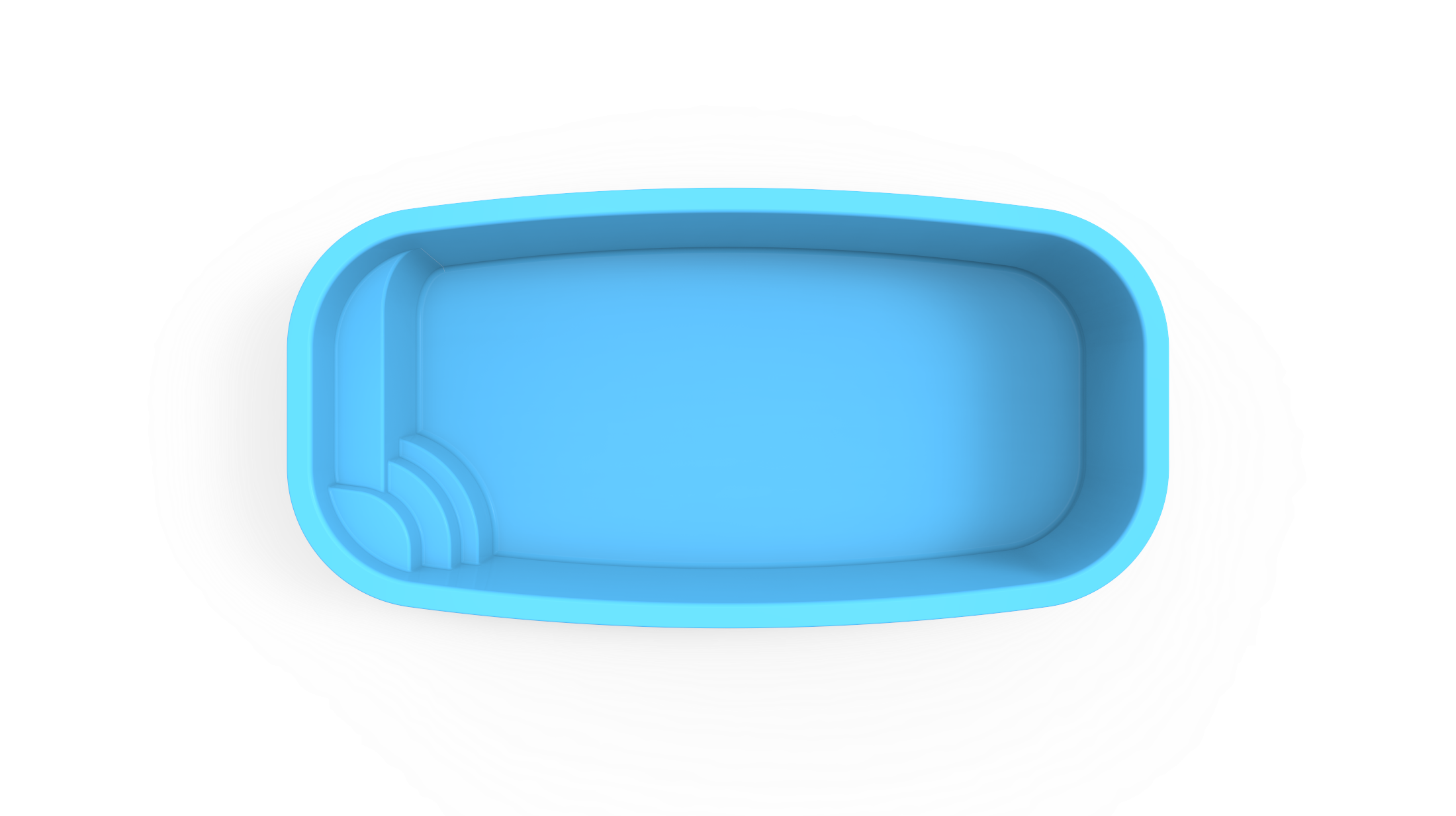 Bambusa.img4.png